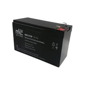 Batteria Ermetica Accumulatore Professionale 12V 7AH